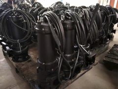 巴基斯坦某公司采購(gòu)一批CP潛水排污泵